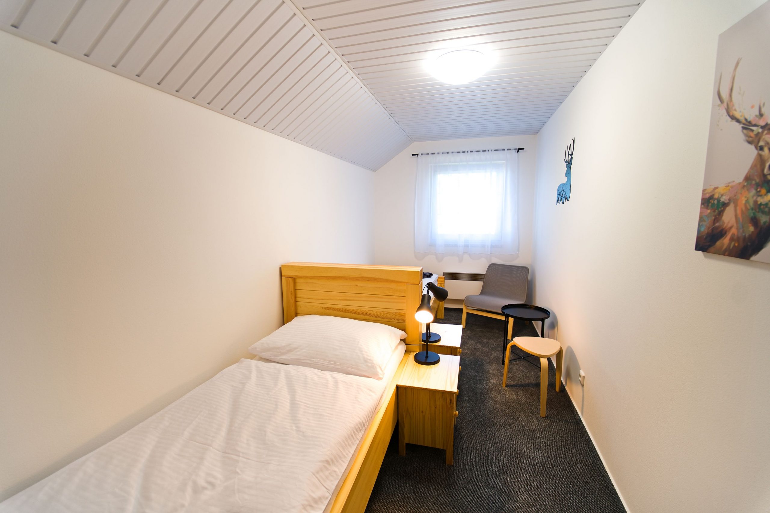 Chata Markétka - studio Jelen