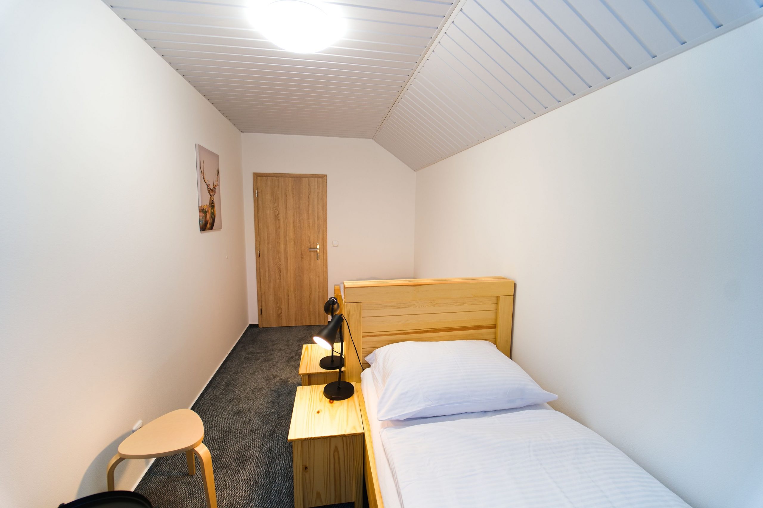 Chata Markétka - studio Jelen